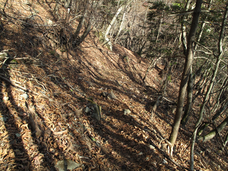 20171207hike (372)
